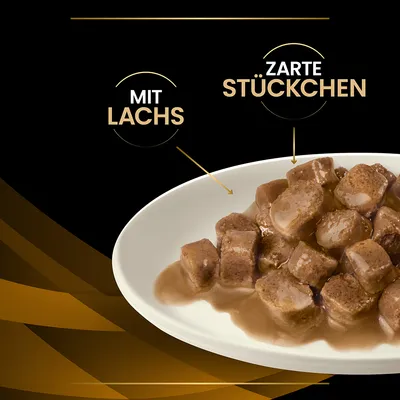 Mit Lachs, zarte Stückchen in Sauce auf weissem Teller. Produktbeschreibung für Nassfutter.