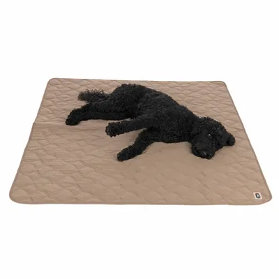 Black dog lying on a beige padded mat with quilted pattern. Small brand label visible in the corner.