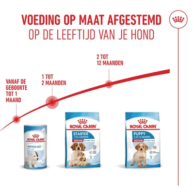 Royal Canin Medium Starter Mother & Babydog Hondenvoer