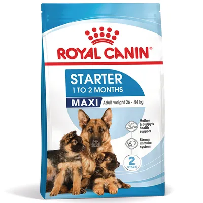 Royal Canin Maxi Starter Mother & Babydog Hondenvoer Royal Canin Maxi Starter Mother & Babydog Hondenvoer