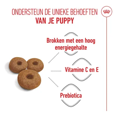 Royal Canin Maxi Starter Mother & Babydog Hondenvoer Royal Canin Maxi Starter Mother & Babydog Hondenvoer