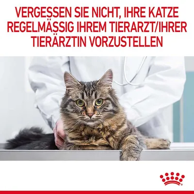 Vergessen Sie nicht, Ihre Katze regelmässig Ihrem Tierarzt/Ihrer Tierärztin vorzustellen. Royal Canin Logo unten rechts.