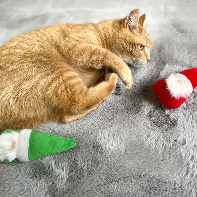 Gatto rosso gioca con due giocattoli di stoffa natalizi verdi e rossi su tappeto grigio.