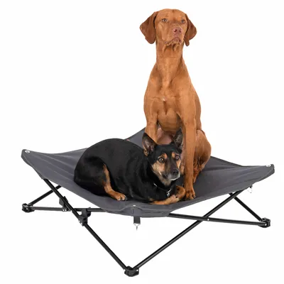 Zwei Hunde auf einem erhöhten Hundebett mit schwarzem Stoff und Metallrahmen.
