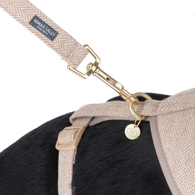Nomad Tales hundesnor med guldfarvet karabinhage og beige-mønstret design, fastgjort til en matchende hundesele.