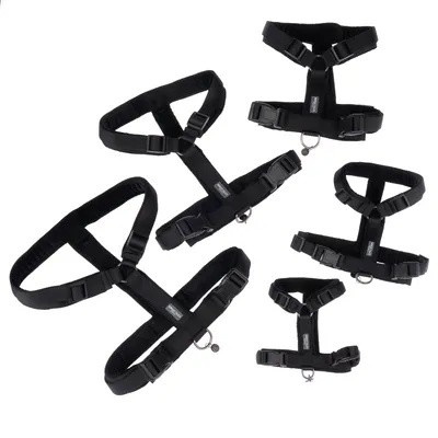 Black dog harnesses in various sizes with adjustable straps and metal rings for lead attachment.
