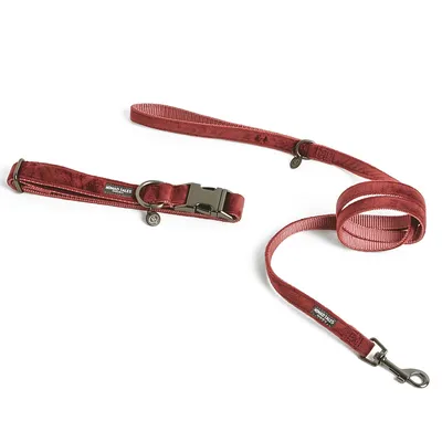Rode hondenhalsband en bijpassende lijn van stof met metalen sluiting, merknaam Nomad Tales zichtbaar op beide delen.
