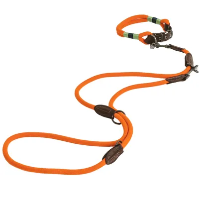 Orange Hundeleine mit verstellbaren Schlaufen und braunen Lederdetails, inklusive Halsband mit Metallverschluss.