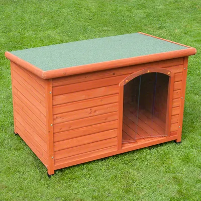 Wooden outdoor pet house with a flat green roof and clear plastic flap entrance, shown on grass.