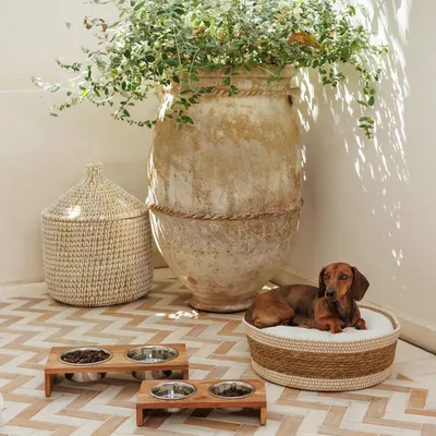 Holz-Hundenapf mit zwei Schalen, gefüllt mit Futter und Wasser. Hundekorb aus geflochtenem Material mit weißem Kissen. Dekorative Pflanzen im Hintergrund.