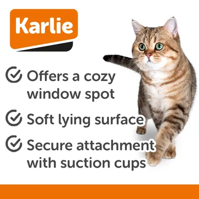 Karlie Hængeseng Willo