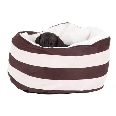 Braun-weiss gestreiftes Haustierbett mit weicher, weisser Innenpolsterung. Ein kleiner Hund schaut aus dem Bett hervor.