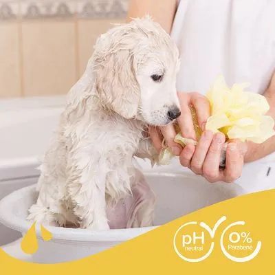 Cão a ser lavado numa banheira, com mão humana a segurar esponja amarela. Texto visível: pH neutral, 0% Parabene.