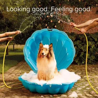 Pies w niebieskiej muszlowej wannie z pianą, polewany wodą z węży przez dwie osoby. Tekst: „Looking good. Feeling good.”
