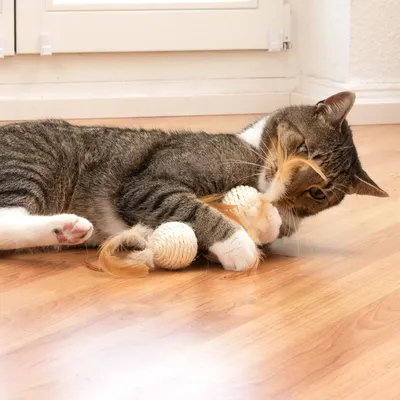 Gato jugando con un juguete de cuerda y plumas sobre un suelo de madera.