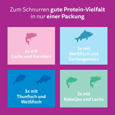 Multipack Whiskas Tasty Mix Portionsbeutel 48 x 85 g