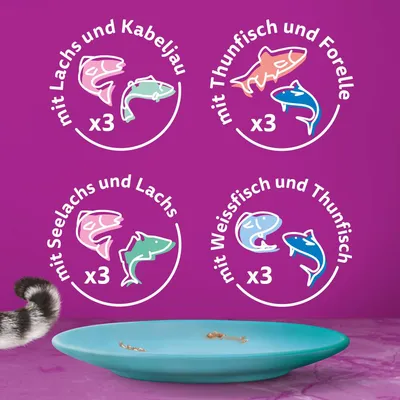 Produktvarianten: mit Lachs und Kabeljau x3, mit Thunfisch und Forelle x3, mit Seelachs und Lachs x3, mit Weissfisch und Thunfisch x3.