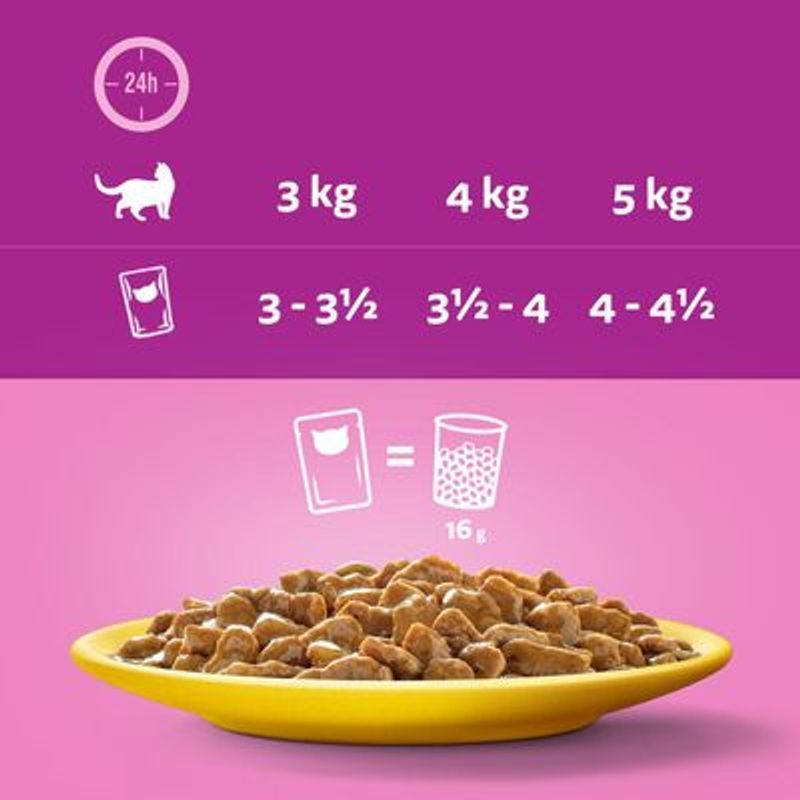 Gemengd Pakket Whiskas 1+ Adult Maaltijdzakjes 12 x 85 g Kattenvoer