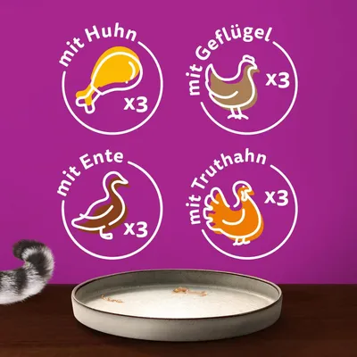 Produktbeschreibung: mit Huhn x3, mit Geflügel x3, mit Ente x3, mit Truthahn x3. Illustrationen der jeweiligen Tiere auf violettem Hintergrund.