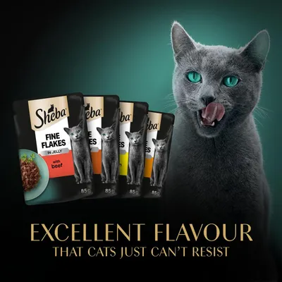 Sheba Fine Flakes in Jelly with beef, 85g pouches shown beside a cat licking its lips. Text reads: Excellent flavour that cats just can’t resist.