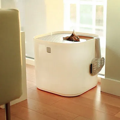 Kattenbak met bovenin een opening, kat kijkt eruit. Witte kunststof bak met roosterdeksel en schepje aan de zijkant zichtbaar.