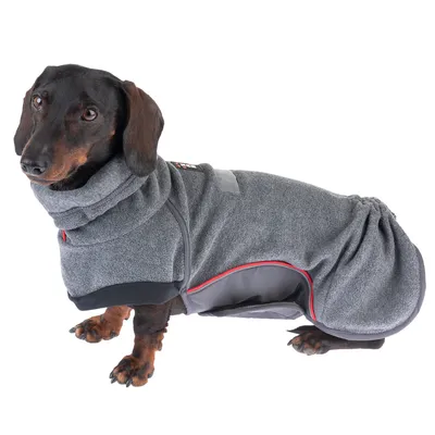 Dackel trägt einen grauen Hundemantel mit rotem Rand und reflektierendem Streifen. Mantel zeigt eine praktische Passform für kleine Hunde.