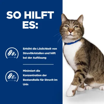 So hilft es: Erhöht die Löslichkeit von Struvitkristallen und hilft bei der Auflösung. Minimiert die Konzentration der Bestandteile für Struvit im Urin.