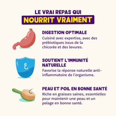 Le vrai repas qui nourrit vraiment. Digestion optimale, soutient l’immunité naturelle, peau et poil en bonne santé. Prébiotiques chicorée/levures, réponse anti-inflammatoire, graisses saines.