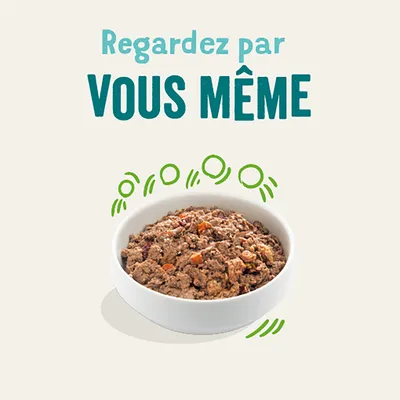 Regardez par VOUS MÊME. Bol blanc rempli de pâtée pour animaux, morceaux visibles.
