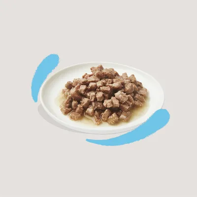 Assiette blanche contenant des morceaux de nourriture humide en sauce, présentés sans emballage ni marque visible.