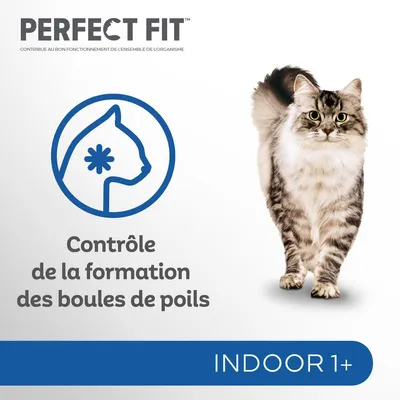 PERFECT FIT, contrôle de la formation des boules de poils, contribue au bon fonctionnement de l’ensemble de l’organisme, INDOOR 1+, photo d’un chat à poils longs.