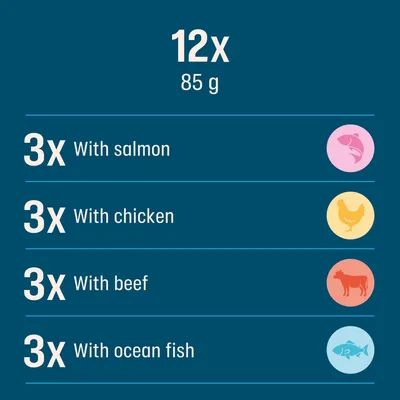 Perfect Fit Adult 1+ Pouches Mixed Pack Chunks in Gravy - Saver Pack: 24 x 85g