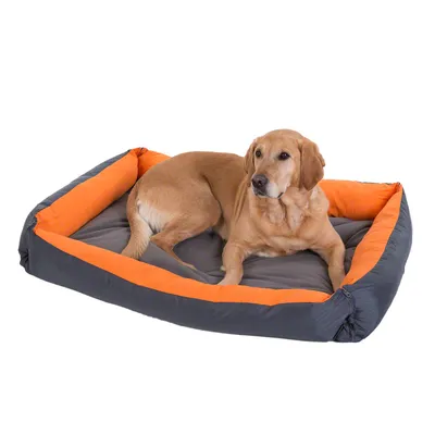 Hund liegt auf einem grauen und orangefarbenen Hundebett mit gepolsterten Rändern.