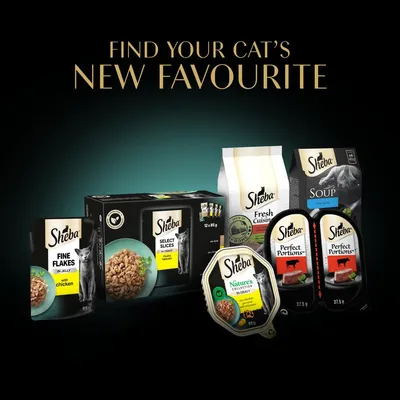 Selection of Sheba cat food products including Fine Flakes, Select Slices, Fresh Cuisine, Soup, Perfect Portions and Nature's Collection. Text: Find your cat’s new favourite.