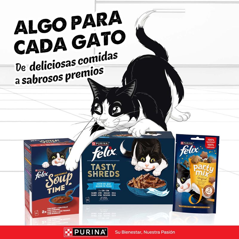 Felix Tasty Shreds 120 x 80 g - Jumbopack
