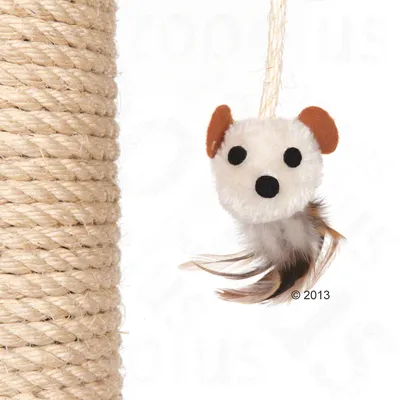Kradsetræ med sisalreb og hængende plysdyr med fjer, formet som et dyr med brune ører og sorte prikker til øjne og næse.
