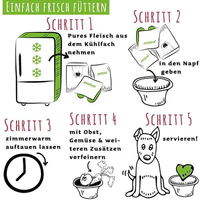 Anleitung 'Einfach frisch füttern': Schritt 1 Fleisch aus Kühlfach nehmen, Schritt 2 in Napf geben, Schritt 3 auftauen lassen, Schritt 4 mit Zutaten verfeinern, Schritt 5 servieren.