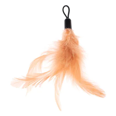 Accessoire avec plumes orange fixées à un embout noir muni d’une boucle, matériau visible : plume et plastique. Aucun texte ou marque visible.