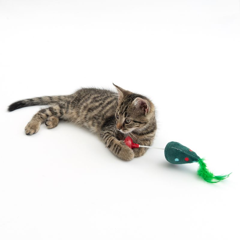 TIAKI Gioco per gatti Albero di Natale