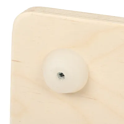 Nahaufnahme einer Holzplatte mit einer weissen Kunststoffschraube, befestigt durch eine Metall-Schraube.
