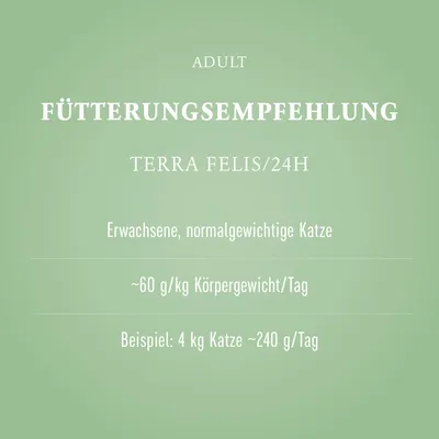 Terra Felis 12 x 200 g