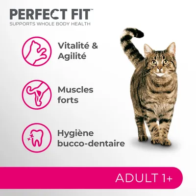 PERFECT FIT, Vitalité & Agilité, Muscles forts, Hygiène bucco-dentaire, ADULT 1+, photo d’un chat tigré debout. Texte en anglais : Supports whole body health.