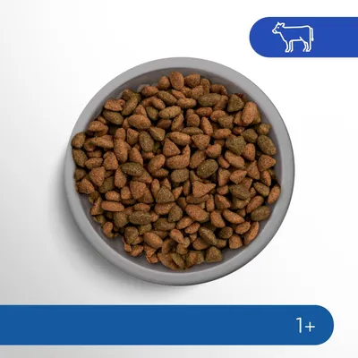 Schüssel mit braunem und grünlichem Trockenfutter. Symbol einer Kuh oben rechts. Altersangabe: 1+.