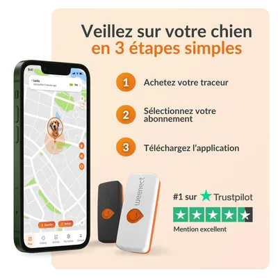 Weenect animal de compagnie GPS Tracker XS pour chien