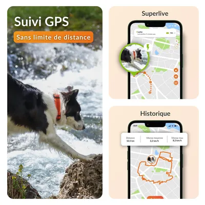 Weenect Tracker GPS XT pour animaux de compagnie pour chien