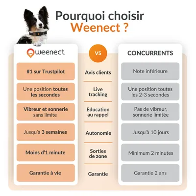 Weenect Tracker GPS XT pour animaux de compagnie pour chien