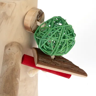 Giocattolo in legno con palla verde in fibre intrecciate, bastoncino rosso in legno e pezzo di legno naturale. Adatto per pet per giocare o masticare.