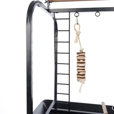 Échelle en métal noire avec jouet suspendu en corde et rondelles de bois, perchoir en bois visible en haut à droite, partie d’un support pour oiseau.