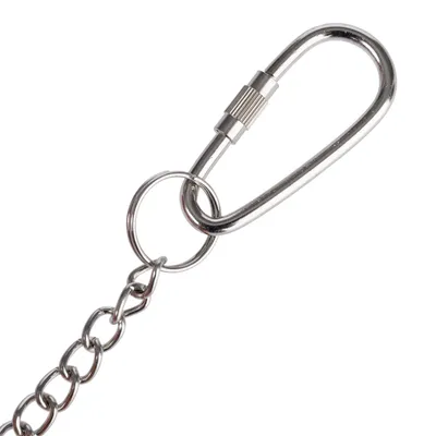 Metal chain with carabiner hook and round ring, suitable for attachments or accessories.