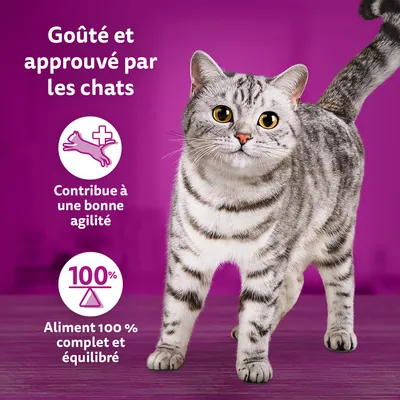 Goûté et approuvé par les chats. Contribue à une bonne agilité. Aliment 100 % complet et équilibré.